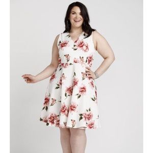 Warehouse One Fit & Flare Double V-Neck Dress